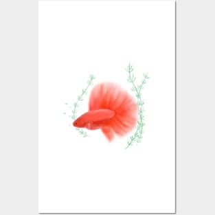 Betta Fish Red 2 Posters and Art